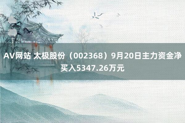 AV网站 太极股份（002368）9月20日主力资金净买入5347.26万元