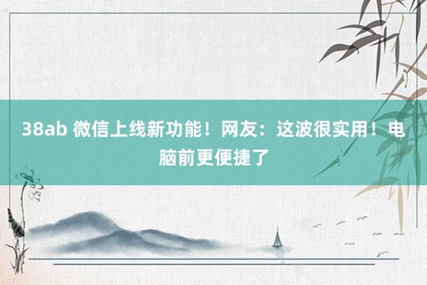 38ab 微信上线新功能！网友：这波很实用！电脑前更便捷了