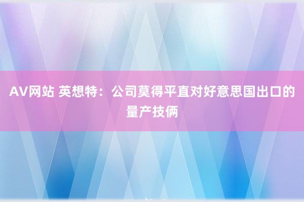 AV网站 英想特：公司莫得平直对好意思国出口的量产技俩