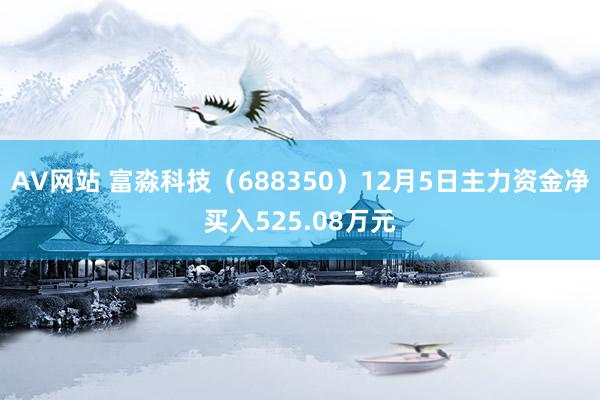 AV网站 富淼科技（688350）12月5日主力资金净买入525.08万元