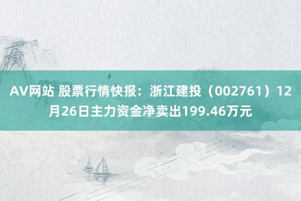 AV网站 股票行情快报：浙江建投（002761）12月26日主力资金净卖出199.46万元