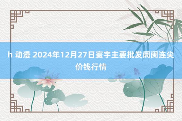 h 动漫 2024年12月27日寰宇主要批发阛阓连尖价钱行情