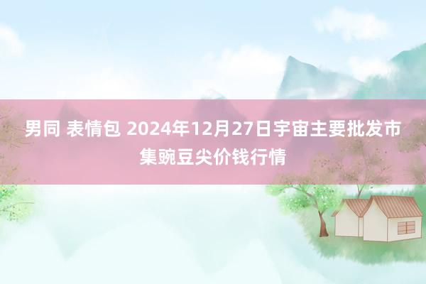 男同 表情包 2024年12月27日宇宙主要批发市集豌豆尖价钱行情