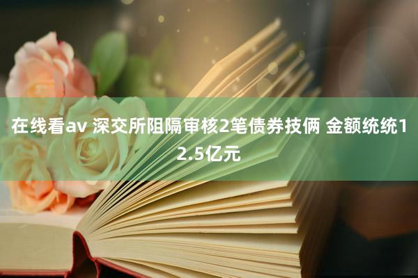 在线看av 深交所阻隔审核2笔债券技俩 金额统统12.5亿元