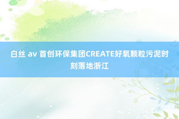 白丝 av 首创环保集团CREATE好氧颗粒污泥时刻落地浙江