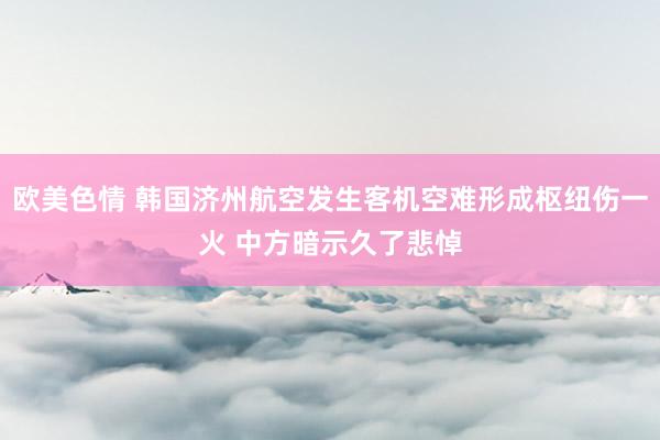 欧美色情 韩国济州航空发生客机空难形成枢纽伤一火 中方暗示久了悲悼