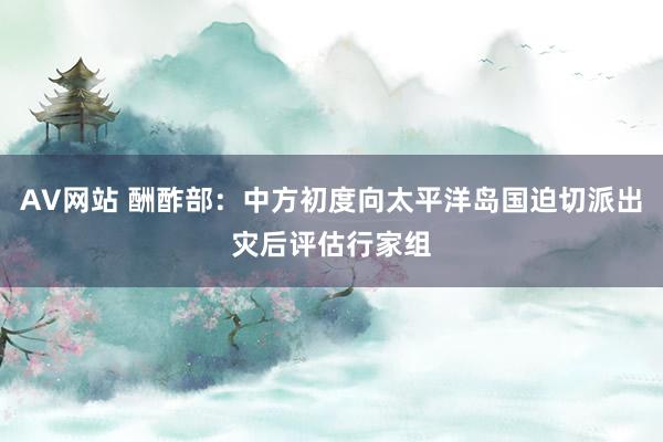 AV网站 酬酢部：中方初度向太平洋岛国迫切派出灾后评估行家组