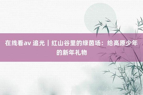 在线看av 追光｜红山谷里的绿茵场：给高原少年的新年礼物