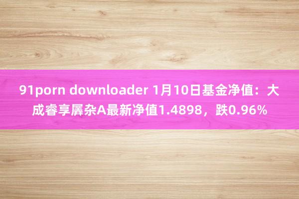 91porn downloader 1月10日基金净值：大成睿享羼杂A最新净值1.4898，跌0.96%