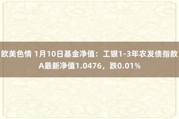 欧美色情 1月10日基金净值：工银1-3年农发债指数A最新净值1.0476，跌0.01%