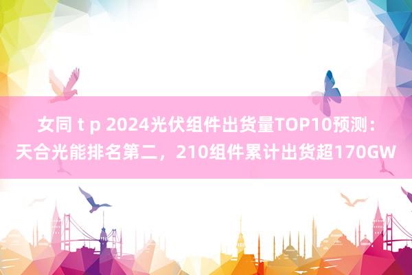 女同 t p 2024光伏组件出货量TOP10预测：天合光能排名第二，210组件累计出货超170GW