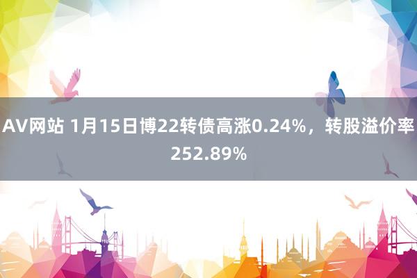 AV网站 1月15日博22转债高涨0.24%，转股溢价率252.89%