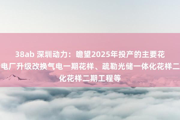 38ab 深圳动力：瞻望2025年投产的主要花样有妈湾电厂升级改换气电一期花样、疏勒光储一体化花样二期工程等