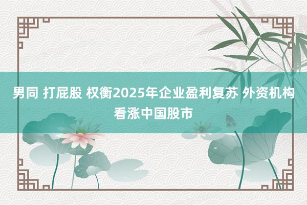 男同 打屁股 权衡2025年企业盈利复苏 外资机构看涨中国股市